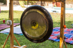 Kras-festival-5-Ajmo-Ca-2025-04