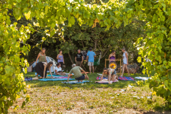 Kras-festival-5-Ajmo-Ca-2025-05