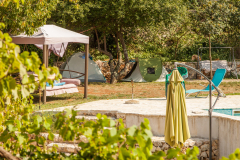 Kras-festival-5-Ajmo-Ca-2025-31