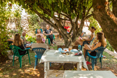 Kras-festival-5-Ajmo-Ca-2025-34