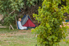 Kras-festival-5-Ajmo-Ca-2025-42